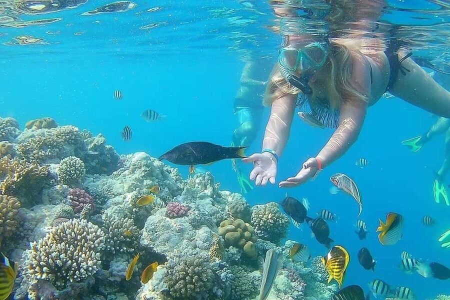 Hurghada: Full-Day Snorkeling Tour in Sharm El Naga w/Lunch - Lunch Beside the Red Sea