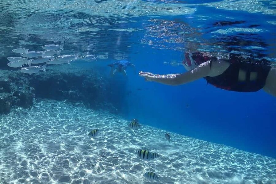 Hurghada: Full-Day Snorkeling Tour in Sharm El Naga w/Lunch - What the $75 Price Really Covers