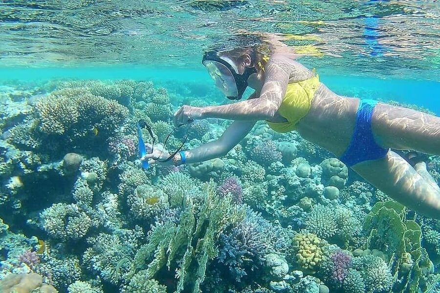 Hurghada: Full-Day Snorkeling Tour in Sharm El Naga w/Lunch - What to Bring for a Better Day