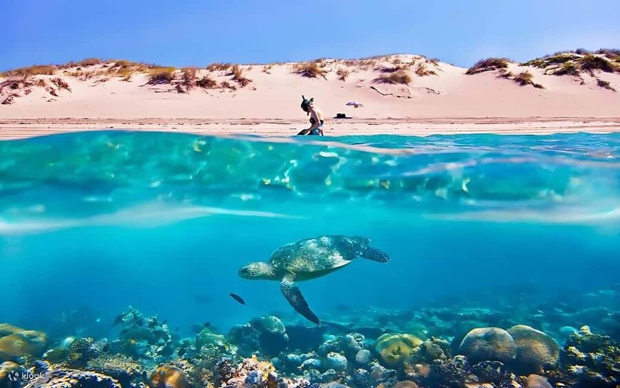 Hurghada: Giftun Island with breakfast, lunch & Water Sports - A full Red Sea day for $26