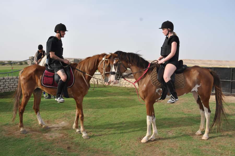 Hurghada: Horse Ride, BBQ Dinner, and Stargazing - Key points at a glance