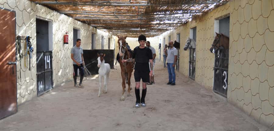Hurghada: Horse Ride, BBQ Dinner, and Stargazing - Stargazing with a guide and telescope