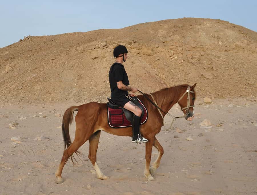 Hurghada: Horse Ride, BBQ Dinner, and Stargazing - Should you book it?