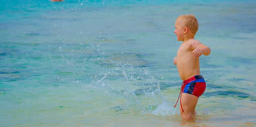 Hurghada: Hula Hula Cruise with Lunch, Massage, & Snorkeling - Who gets the best value at $26