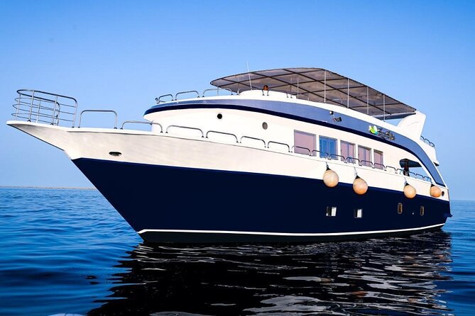 Hurghada: Luxury Cruise to Orange Bay & Hula Hula Island. - Snorkeling help for beginners and families