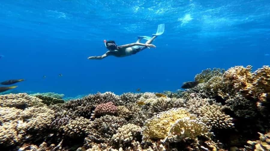 Hurghada: Luxury Cruise Trip to Orange Bay with Lunch - Who should book this Orange Bay cruise?