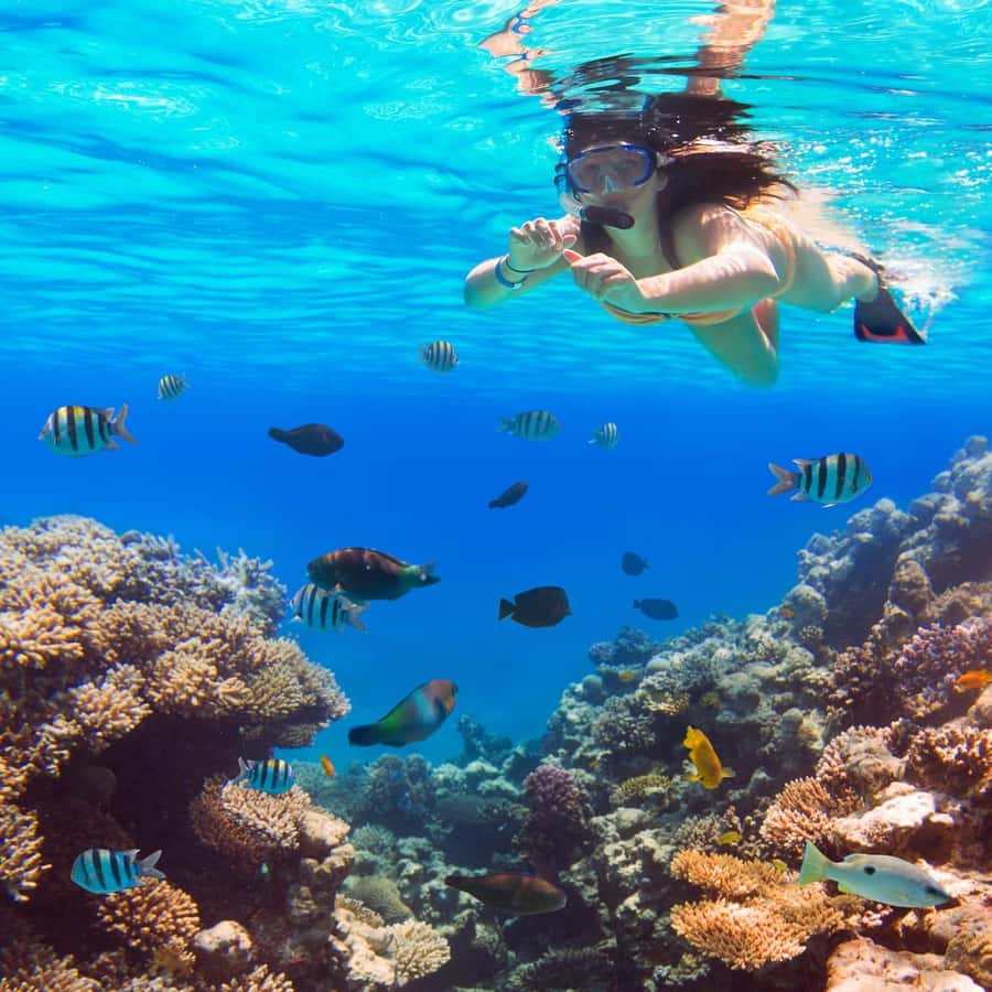 Hurghada:Luxury Diving & Snorkeling inc/Island/Lunch/Massage - Orange Bay: pretty, photogenic, and not secluded