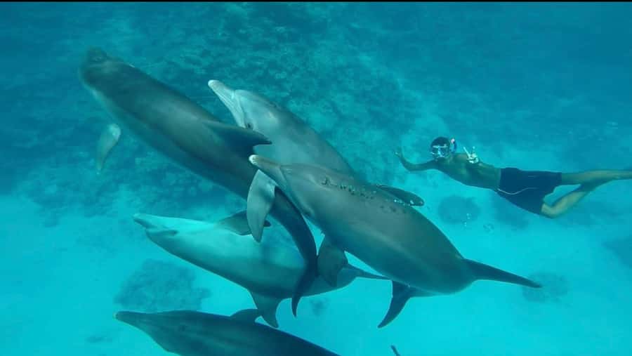 Hurghada: Luxury Yacht Trip with Personal Crew and Chef - How personal is the crew service?