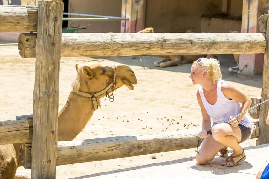 Hurghada: Mega Jeep safari, ATV & Bedouin vibe, and Dinner - The waiting time is the real drawback