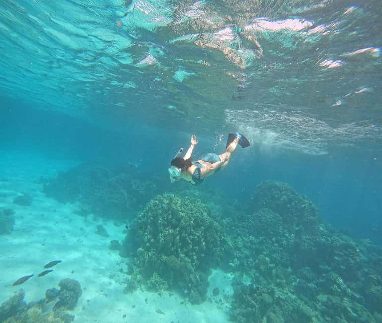 Hurghada or Makadi: Discover the Magic of Dolphin House - Lunch, drinks, and time to relax