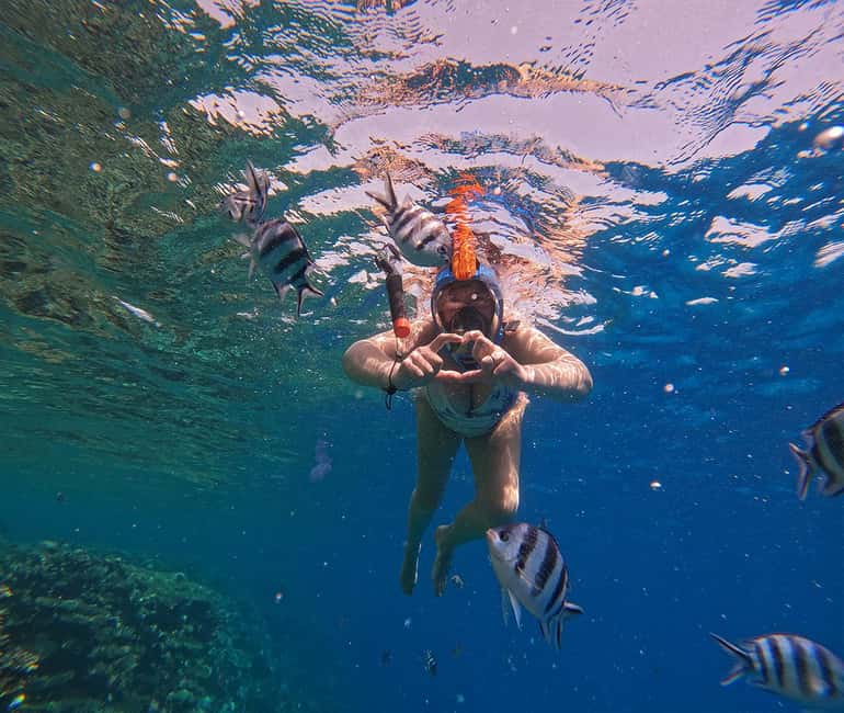 Hurghada or Makadi: Discover the Magic of Dolphin House - What the $27 price really covers