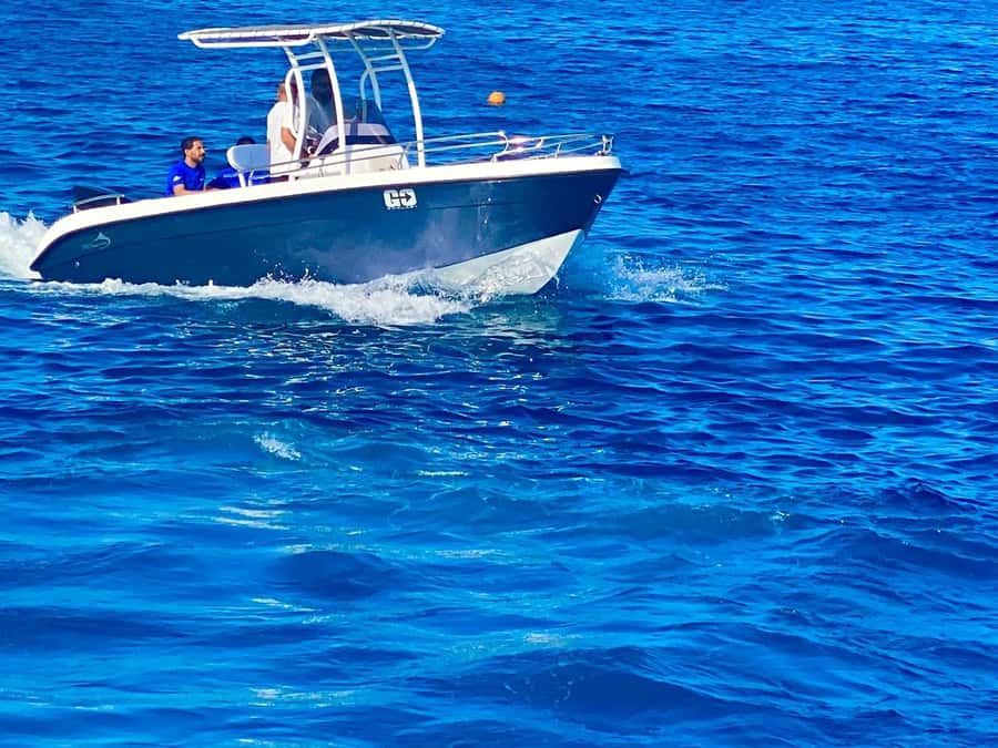 Hurghada: Orange Bay Dolphin Watching, Snorkeling & Lunch - Who should book this speedboat trip