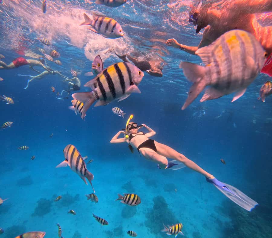 Hurghada: Orange Bay Island Boat Trip w/ Breakfast and Lunch - Who should book this Orange Bay excursion?
