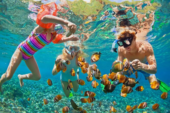 Hurghada Paradise Conquest Semi Submarine Snorkeling Trip - What this Hurghada boat trip actually offers