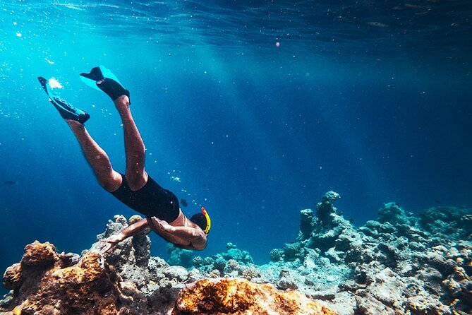 Hurghada Paradise Conquest Semi Submarine Snorkeling Trip - The $9 price: excellent value, with a few conditions