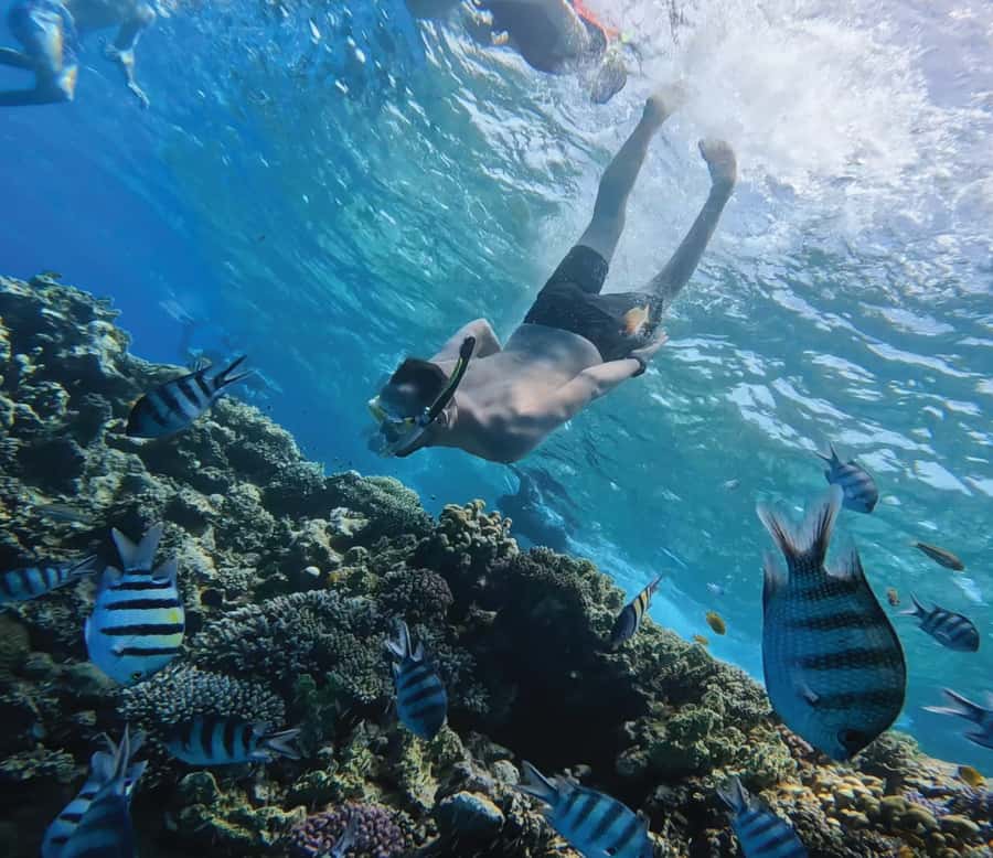 Hurghada: Premium Orange Island Cruise with Lunch & Transfer - Two reef stops, with help in the water