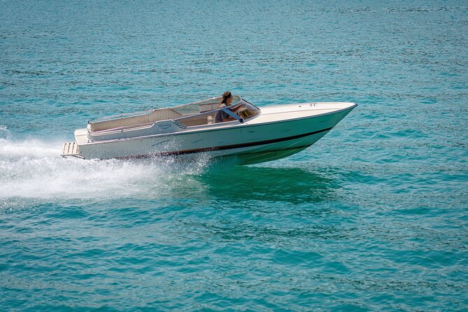 Hurghada: Private 4 Hours Speedboat Dolphin House Snorkling Tour - Key points to know before booking