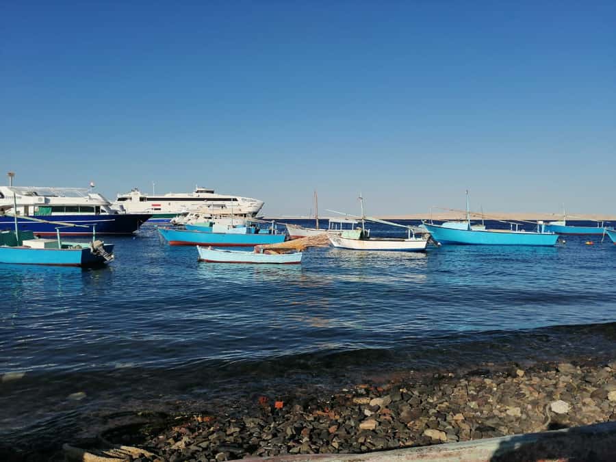 Hurghada: Private Guide City Tour & Shopping Stop - The fish market and the working city
