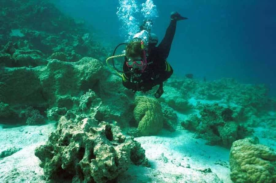 Hurghada, Professionals Diving in Open Water Tour with Lunch - Key points to know before you book