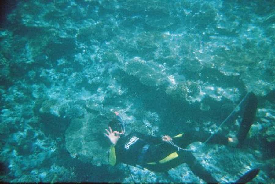 Hurghada, Professionals Diving in Open Water Tour with Lunch - First underwater session, about 35 minutes