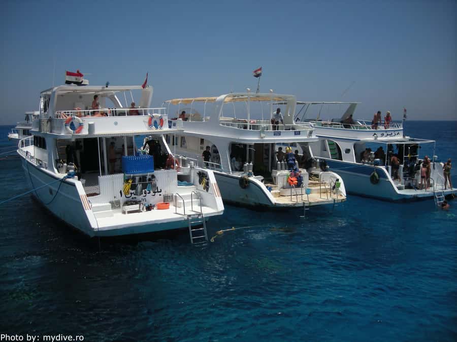Hurghada, Professionals Diving in Open Water Tour with Lunch - The second site and 30-minute scuba session