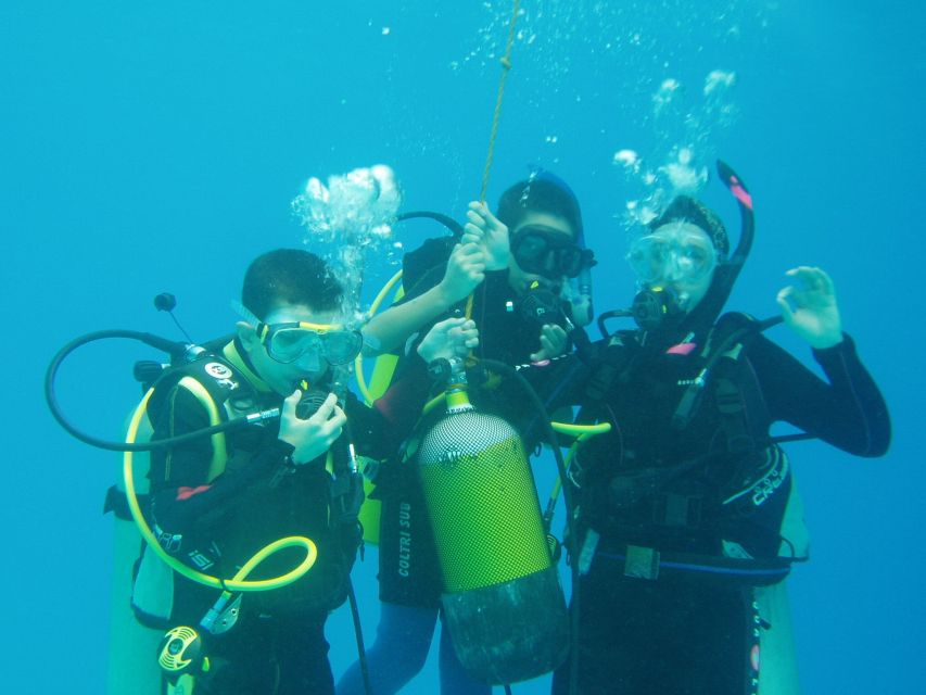 Hurghada, Professionals Diving in Open Water Tour with Lunch - Optional snorkeling for a gentler finish