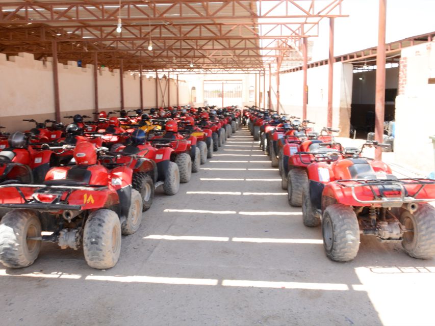Hurghada Quad & ATV Ride with Camel, Desert Vibes & Sea View - The camel ride is short, but worth understanding