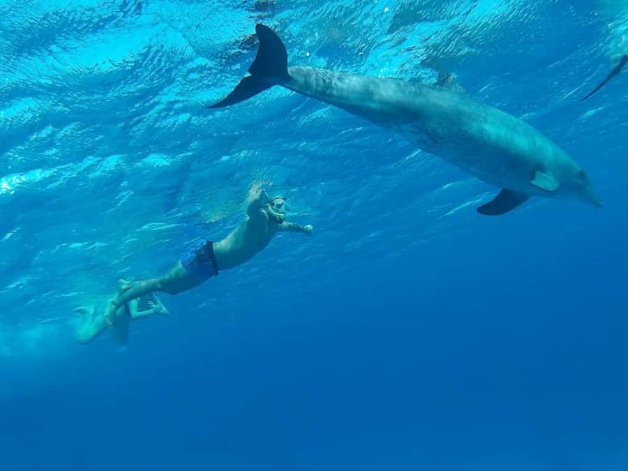 Hurghada: Royal Orange Bay with Massage, Snorkeling & Lunch - Banana boats, sofa rides, and optional scuba
