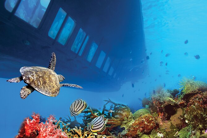 Hurghada: Royal Seascope Submarine Cruise with Snorkel Stop - The 20-minute snorkeling stop