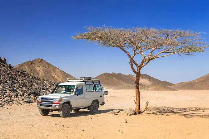 Hurghada: Safari 4x4 Jeep, Camel Ride, Dinner & Star Watching - Astronomy with a telescope
