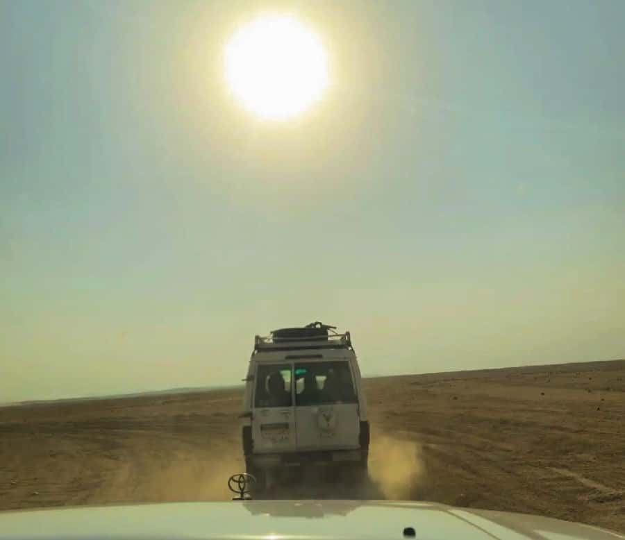 Hurghada: Safari Jeep & Camel Ride with BBQ Dinner & Show - BBQ dinner, Arabic tea, and the evening show