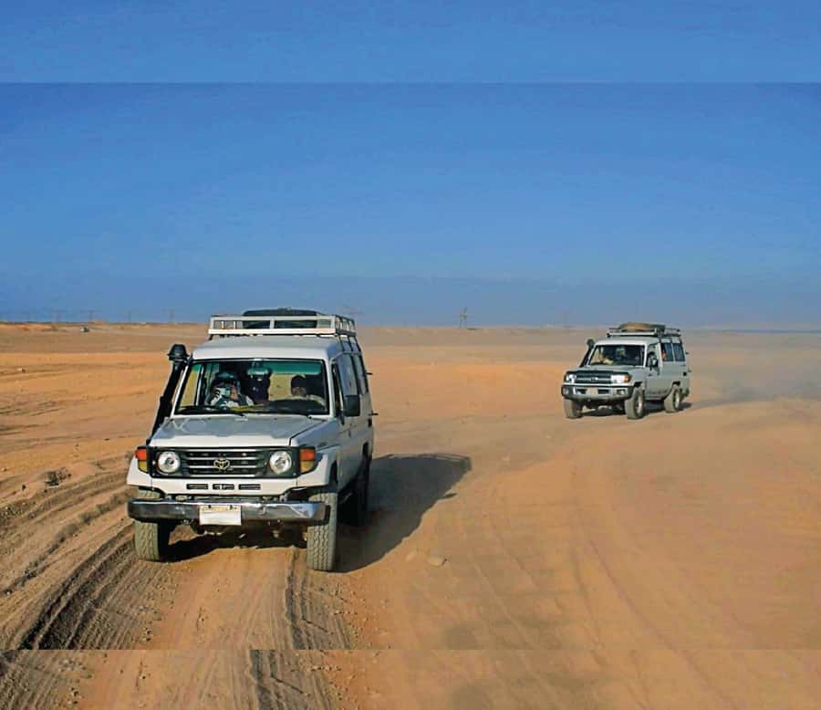 Hurghada: Safari Jeep & Camel Ride with BBQ Dinner & Show - Who will enjoy this desert outing