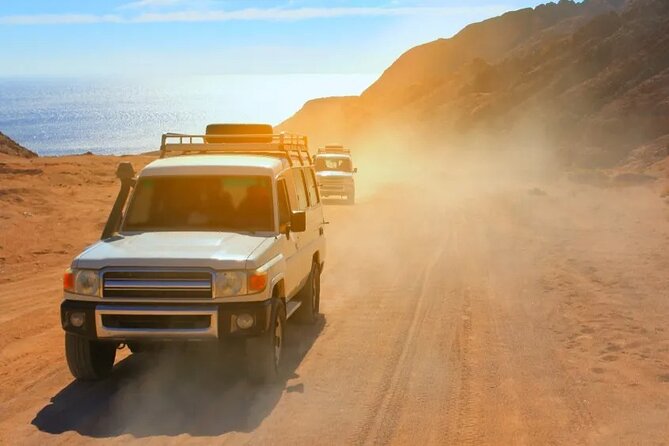 Hurghada Safari Trip Quad, Buggy, Jeep, Camel, Dinner, and Show - Key points to know before booking