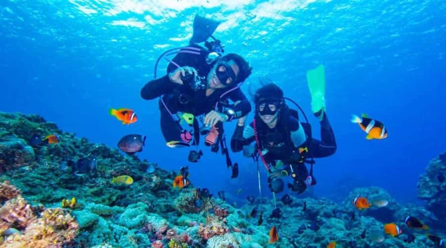 Hurghada: Scuba Diving cruise with lunch & pickup - Abu Ramada and Small Giftun Island Reef Stops