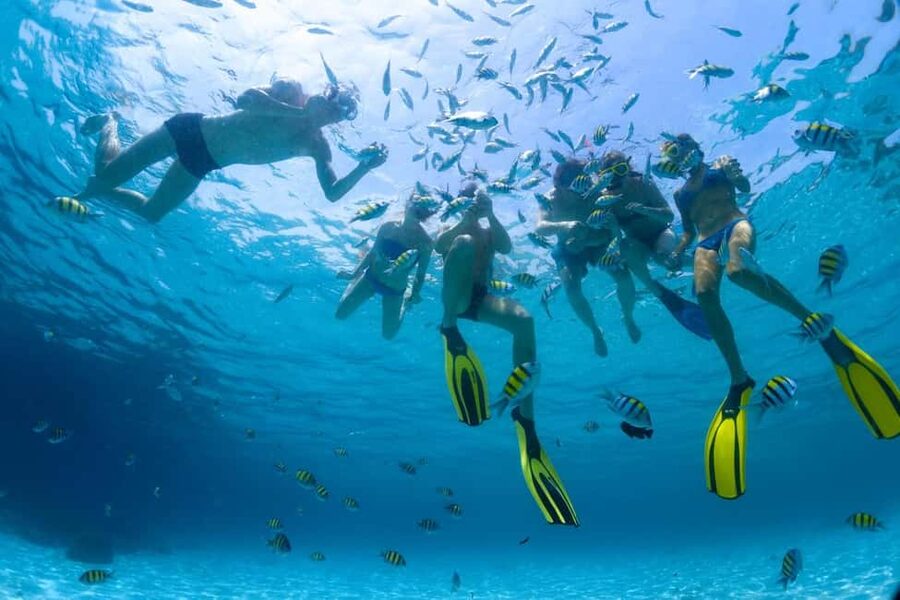 Hurghada: Scuba Diving for Beginners & Certified Divers - Getting From Your Hotel to the Hurghada Port
