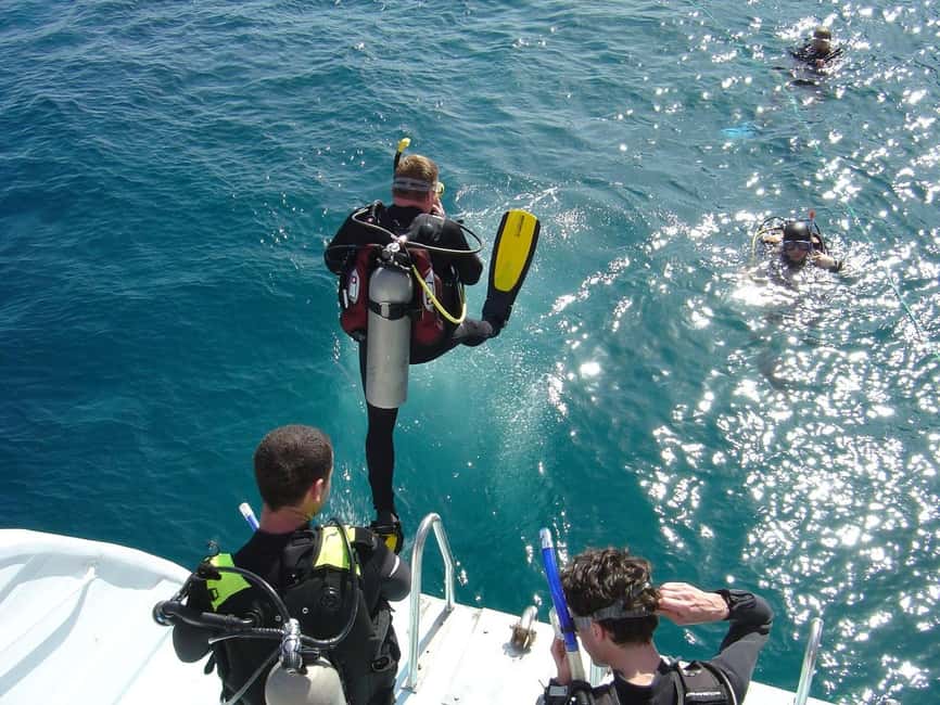 Hurghada: Scuba Diving for Beginners & Certified Divers - Should You Book This Hurghada Scuba Trip?