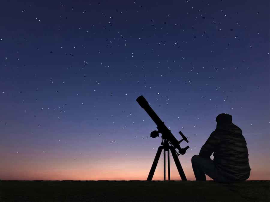 Hurghada: Sea & Desert Camel Ride w/Dinner, Show, Stargazing - Key points to know before booking