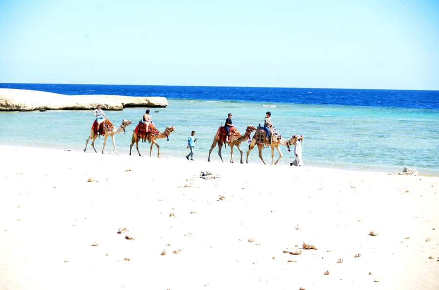 Hurghada: Sea & Desert Camel Ride w/Dinner, Show, Stargazing - What to bring and what to leave behind