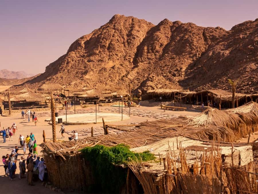 Hurghada: Sea & Desert Camel Ride w/Dinner, Show, Stargazing - Safety briefing, helmets, and mounting the camel