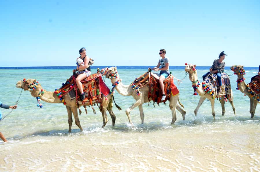 Hurghada: Sea & Desert Camel Ride w/Dinner, Show, Stargazing - Two hours through the Eastern Desert