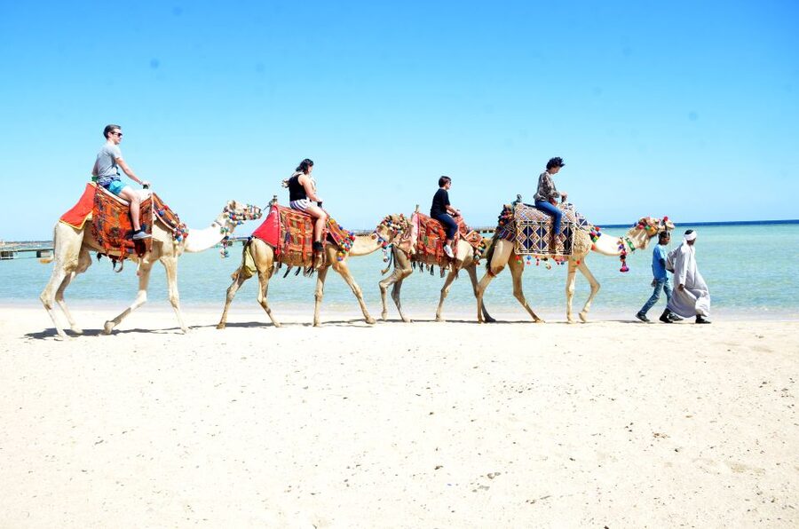 Hurghada: Sea & Desert Camel Ride w/Dinner, Show, Stargazing - Sunrise rides and the breakfast option