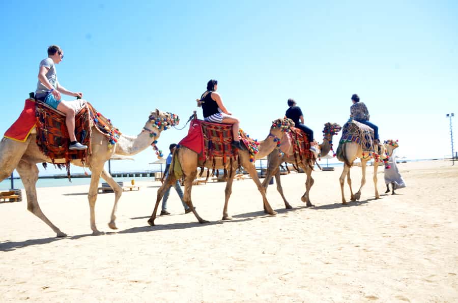 Hurghada: Sea & Desert Camel Ride w/Dinner, Show, Stargazing - How good is the value at $26?
