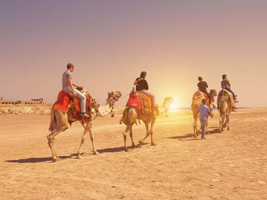 Hurghada: Sea & Desert Camel Ride w/Dinner, Show, Stargazing - From your hotel to the camel base
