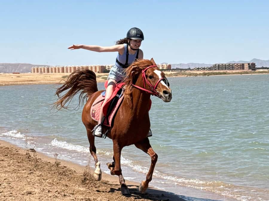 Hurghada: Sea & Desert Horse Riding tour/w Swimming&Transfer - From Hurghada hotel to Lucky Horses Stable