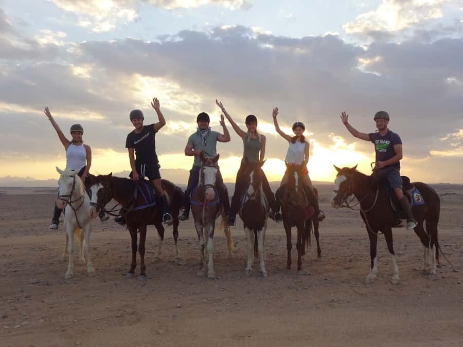Hurghada: Sea & Desert Horse Tour, Stargazing, Dinner & Show - Key points to know before booking