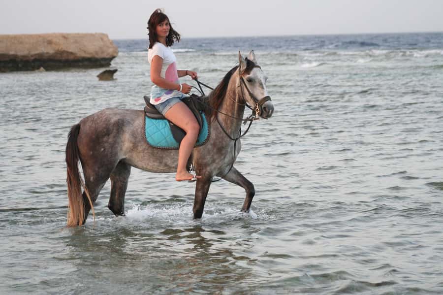 Hurghada: Sea & Desert Horse Tour, Stargazing, Dinner & Show - Riding from Hurghada’s desert to the Red Sea