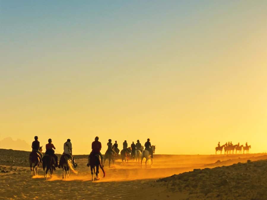 Hurghada: Sea & Desert Horse Tour, Stargazing, Dinner & Show - Choosing between the five ride formats