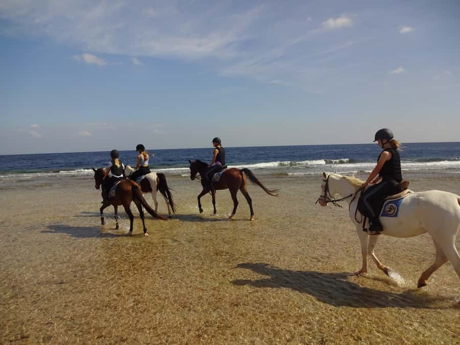 Hurghada: Sea & Desert Horse Tour, Stargazing, Dinner & Show - Sunrise, sunset, and the changing desert light
