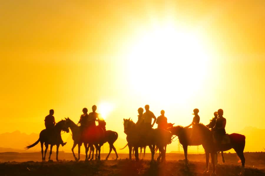 Hurghada: Sea & Desert Horse Tour, Stargazing, Dinner & Show - Guides, photos, and the human side of the outing