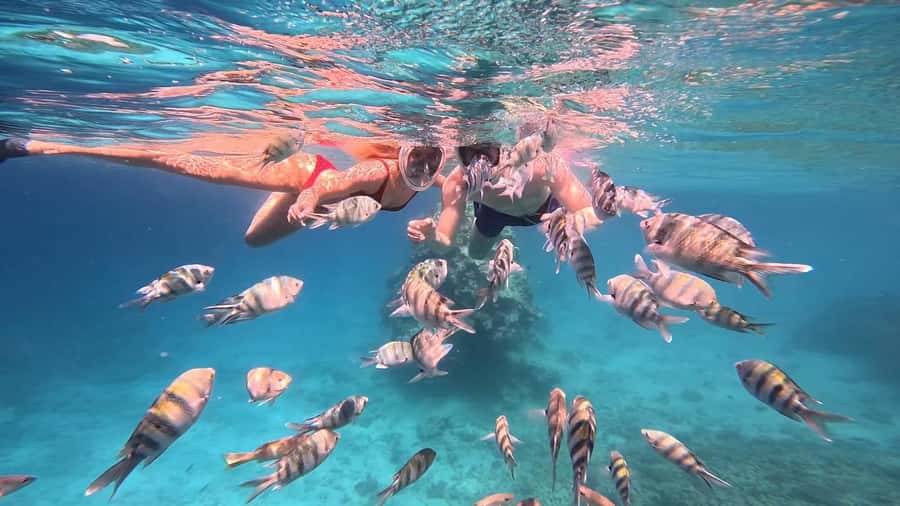 Hurghada: Snorkelling Trip by Speedboat with Hotel Pickup - Giftun Island and the possibility of a wreck stop